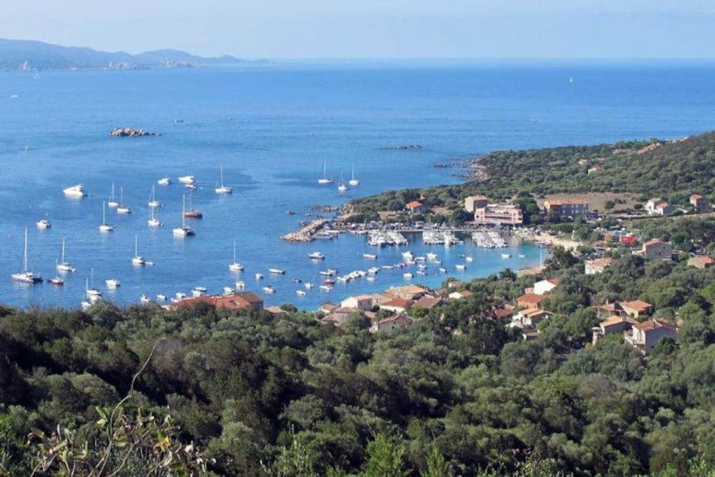 T2 D'Exception 100M Plage Terrasse Vue Mer Et Montagnes Propriano  Bagian luar foto